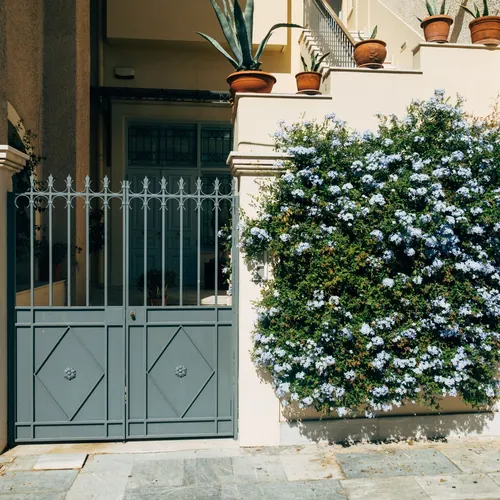Entrada de una vivienda con cancela metálica y un arbusto en flor
