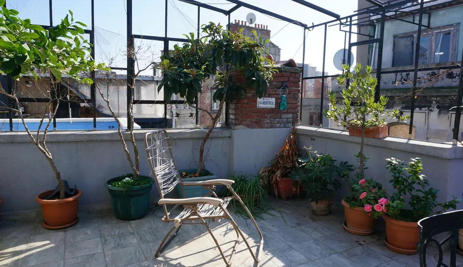 Terraza de un ático con plantas en macetas y una tumbona