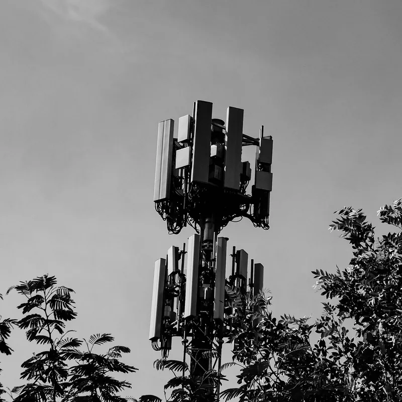 Antena de telefonía con varios emisores entre árboles, en blanco y negro