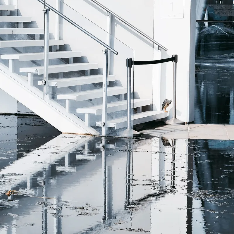 Suelo inundado de agua al pie de una escalera blanca en un interior