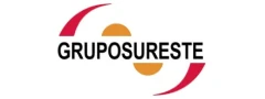 Logo de Grupo Sureste